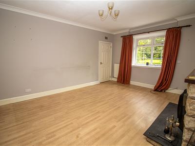 Picture 31